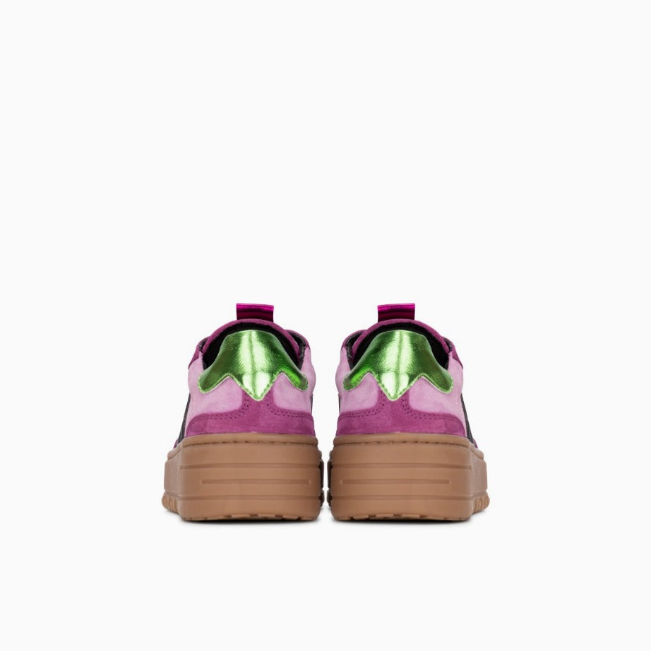 Poelman Anemone - Dark Magenta