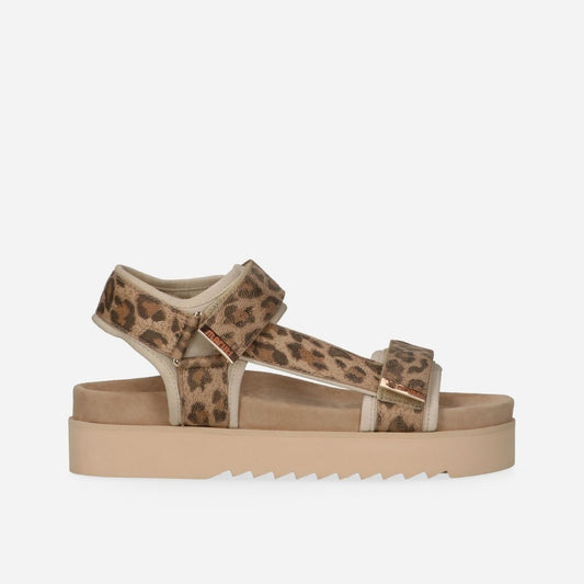 MarutiBeauSandaal66165301-DJN-Leopard__1