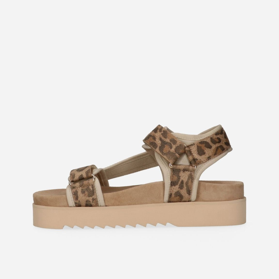 MarutiBeauSandaal66165301-DJN-Leopard__2