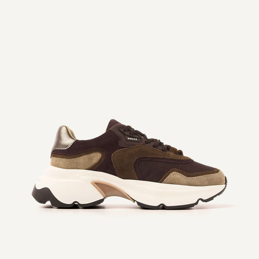 Nubikk Ross Noa -  DK Brown Combi