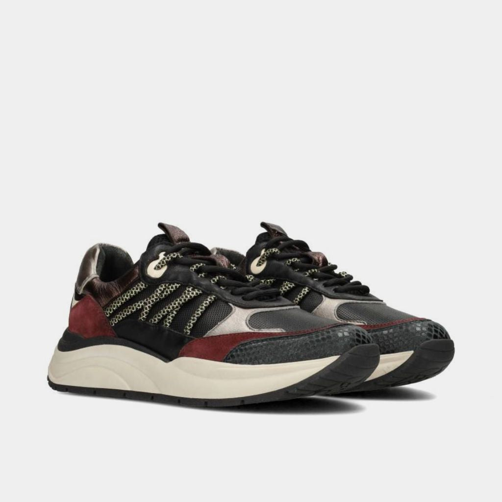 Poelman CHARU -  Black / Merlot / Black
